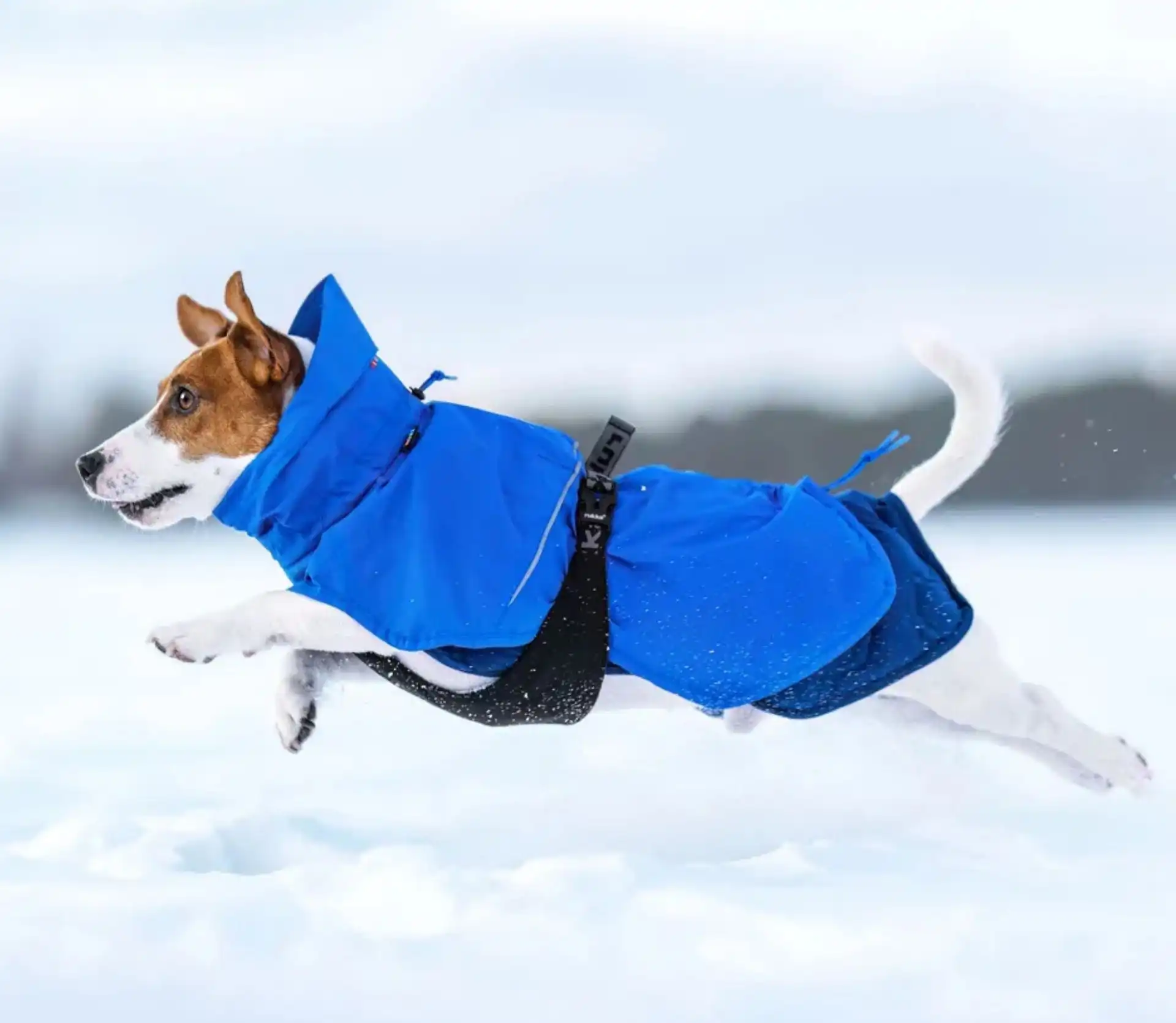 Rukka Pets Discovery 3In1 Coat