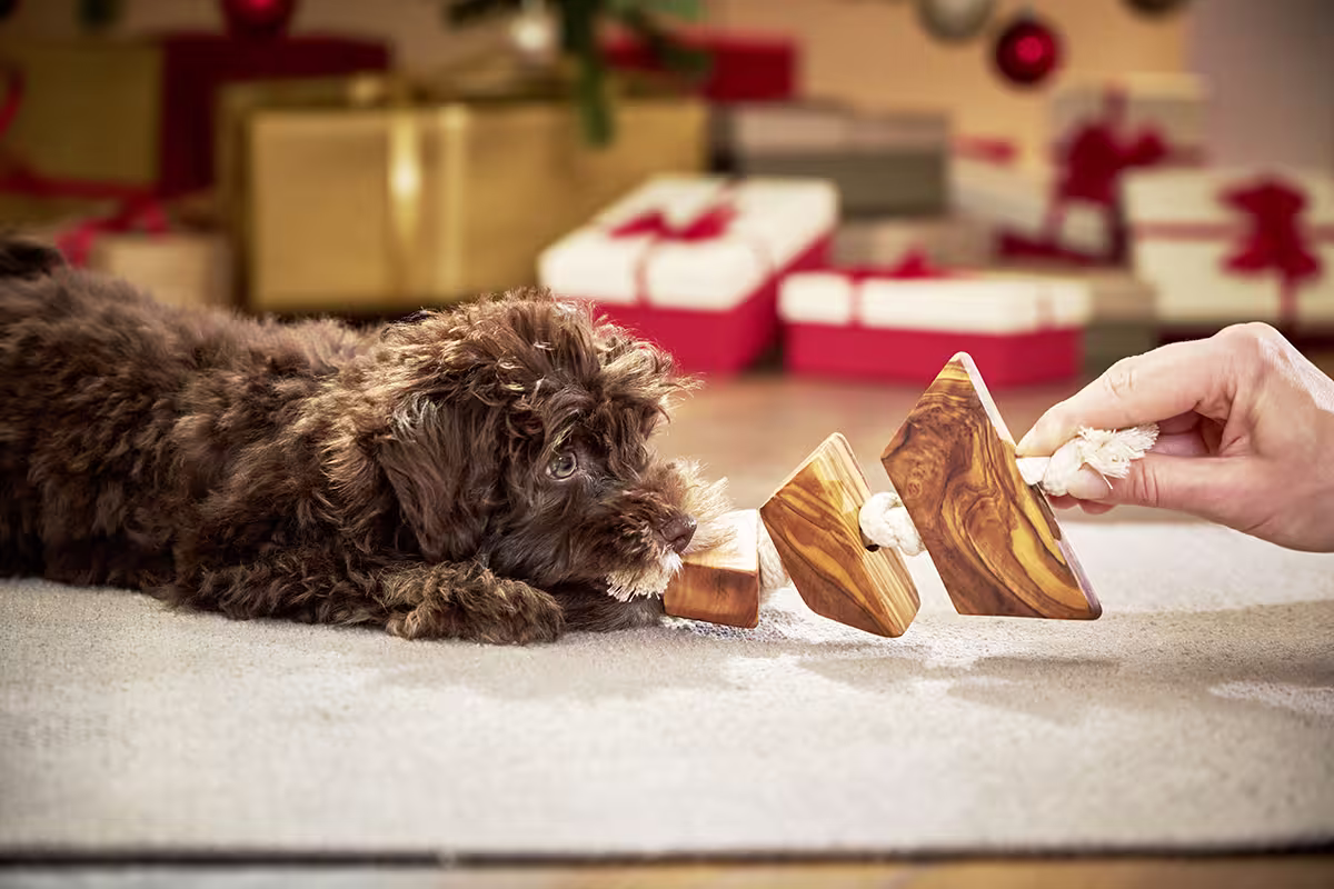 Olivi Christmas Toy
