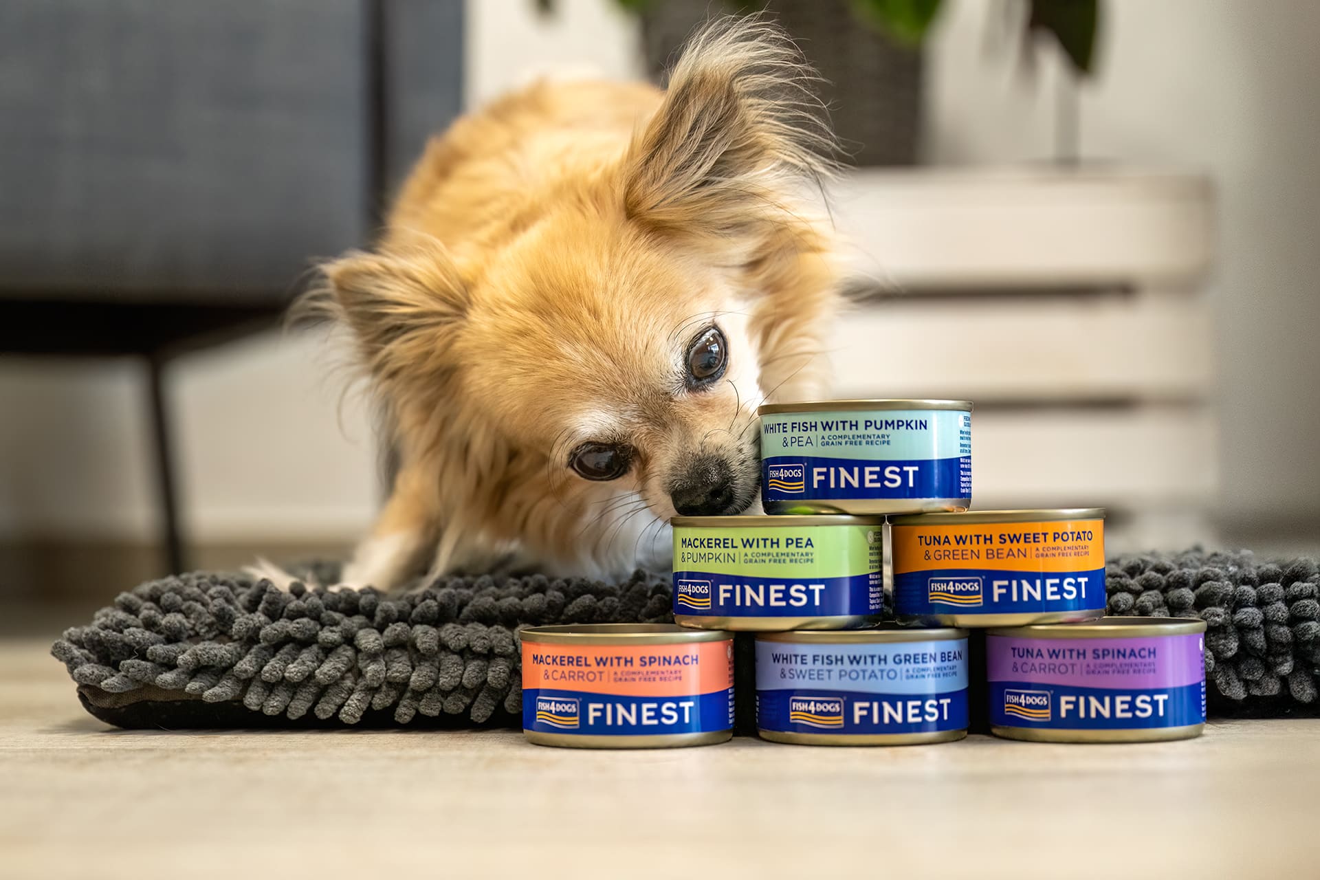 Fish4Dogs Finest – Weißfisch mit Kürbis & Erbsen
