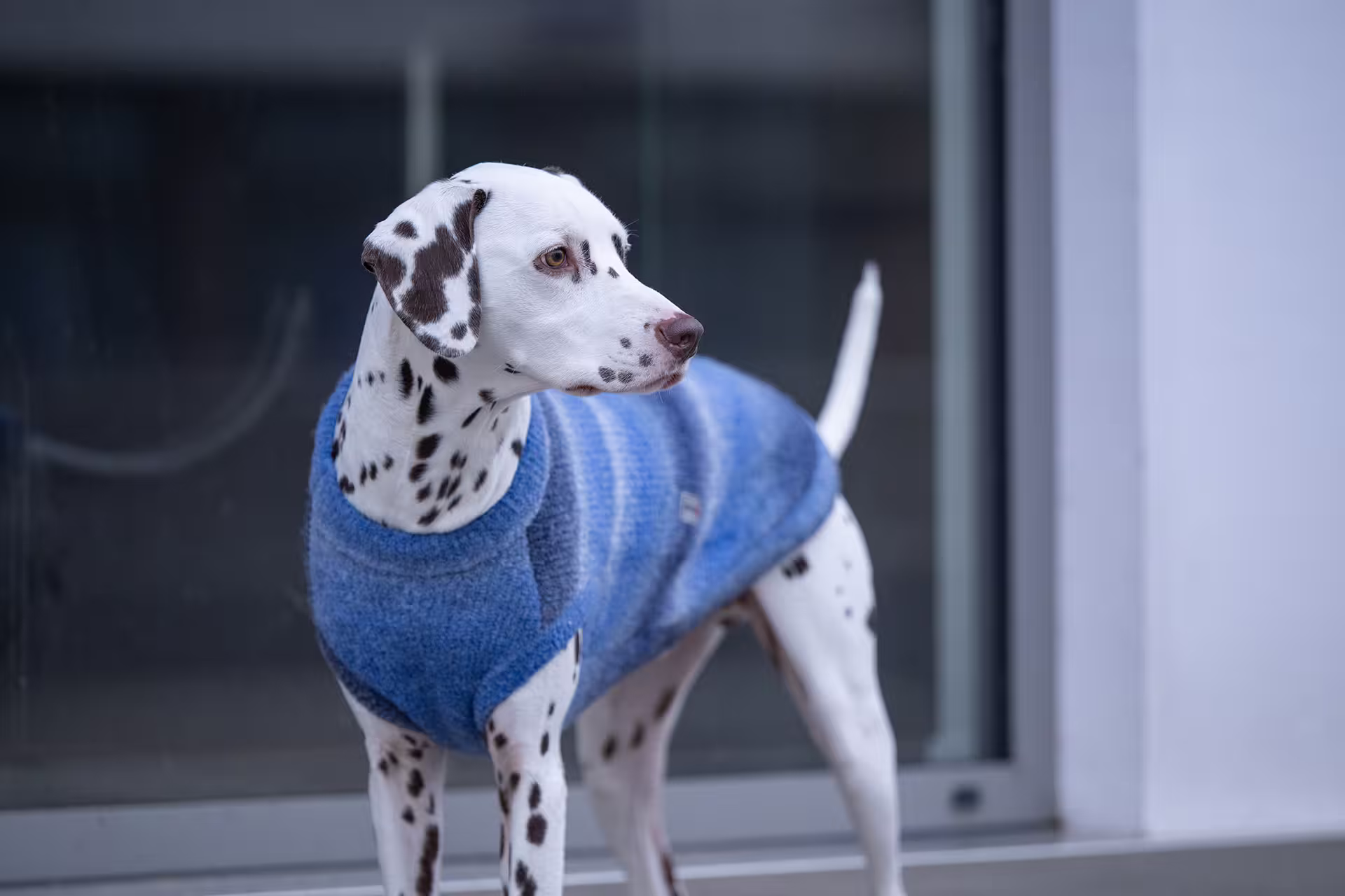 Sweter dzianinowy Sky oversize – szeroki krój