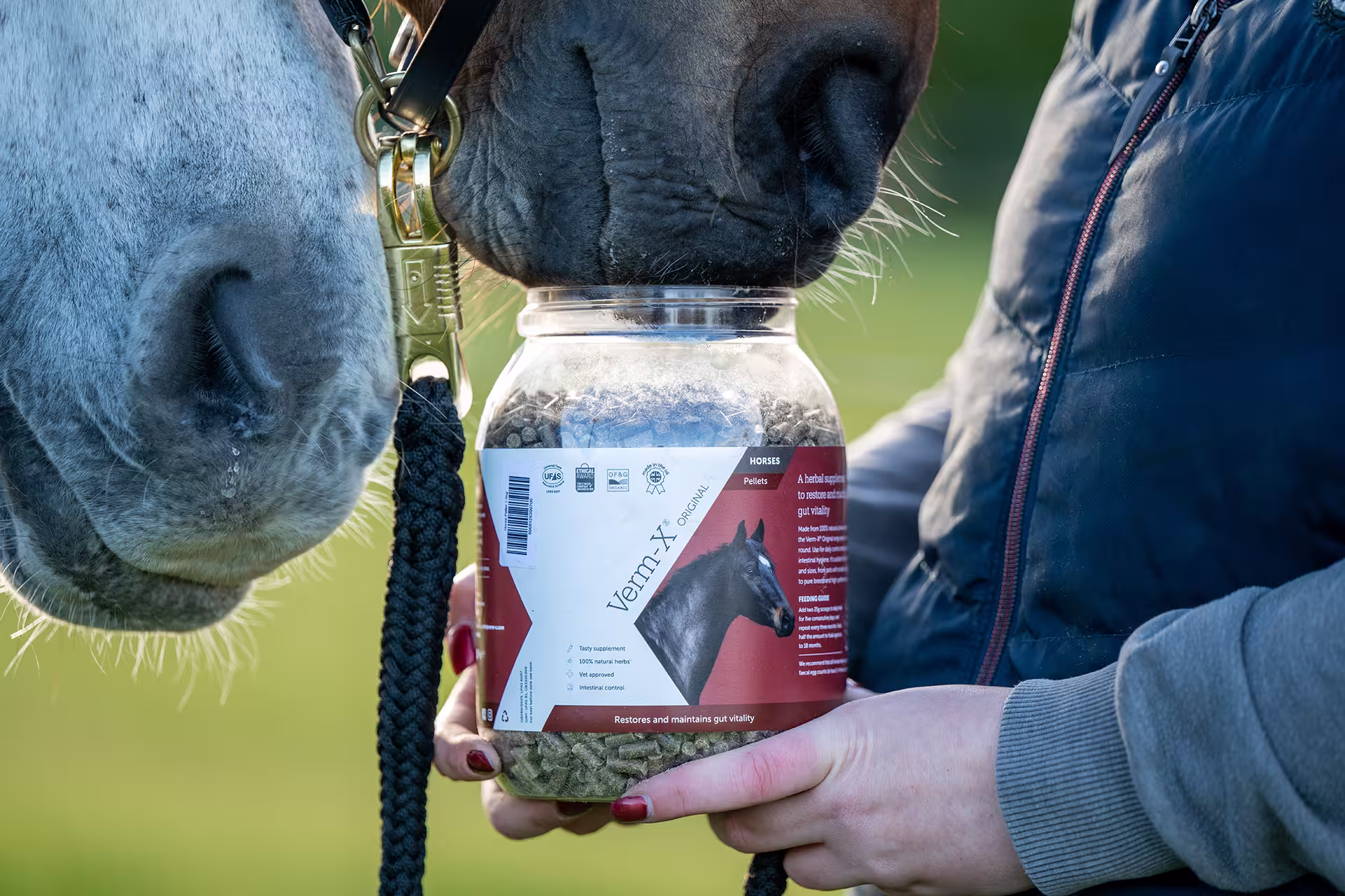 Verm-X Pellets für Pferde & Ponys