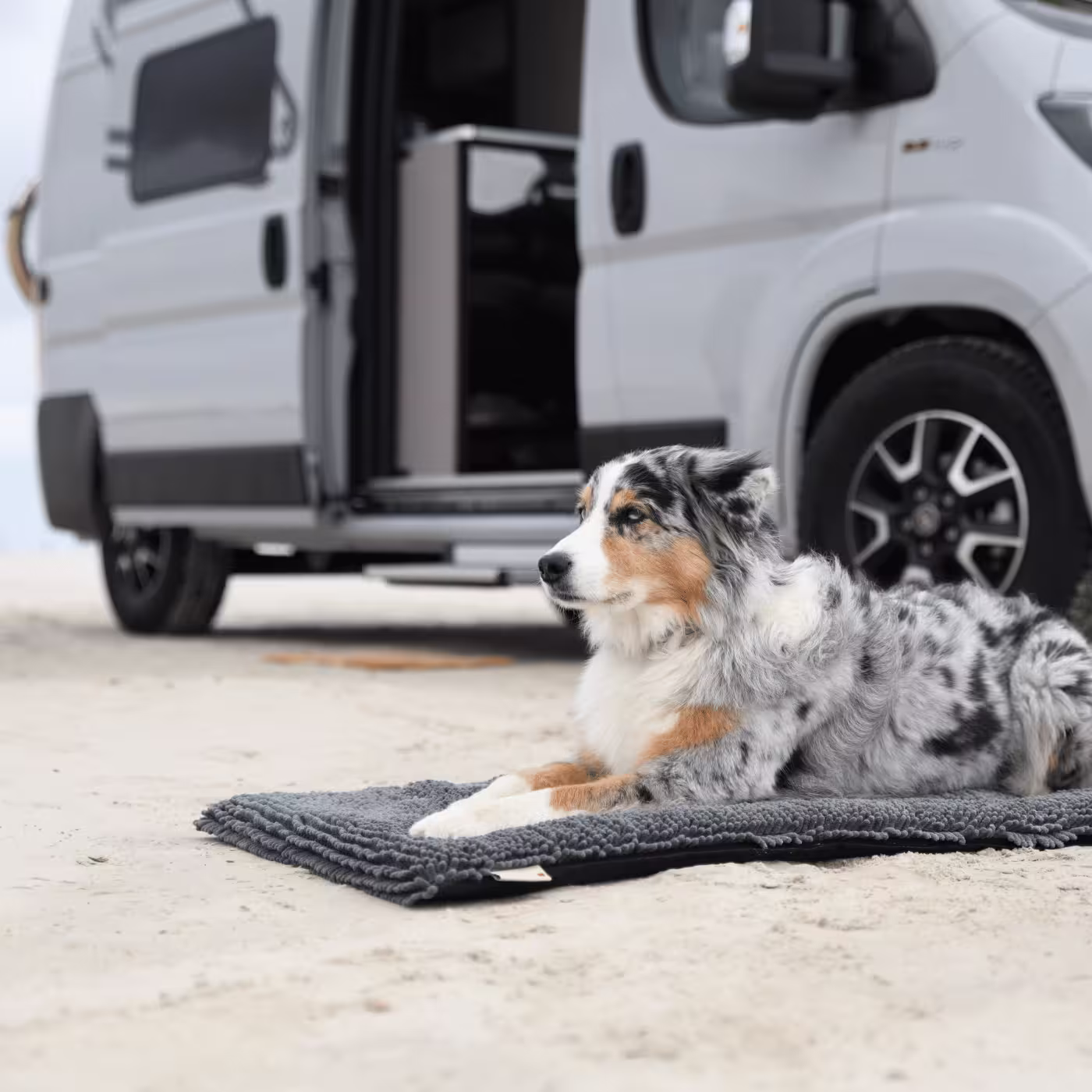 Tierbedarf WOLTERS cat & dog GmbH