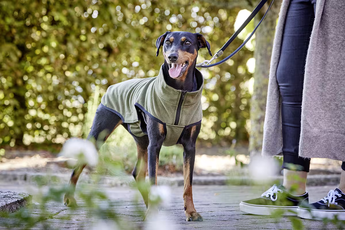 Veste polaire Casual