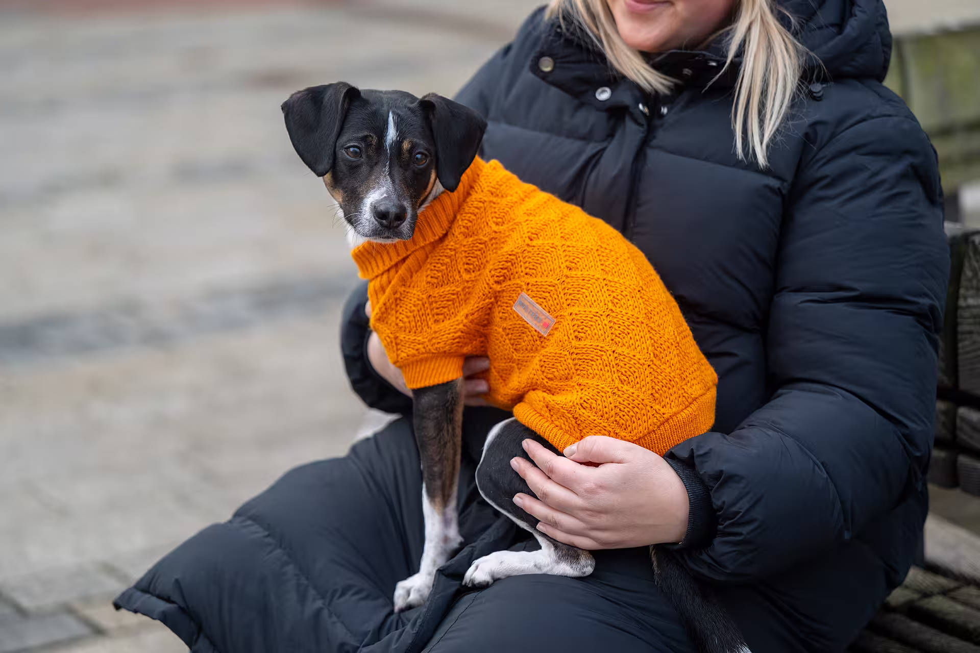 Strickpullover Diamond
