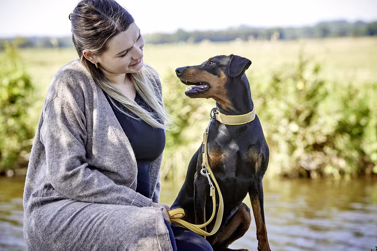 Professional Comfort Halsband WOLTERS cat & dog GmbH