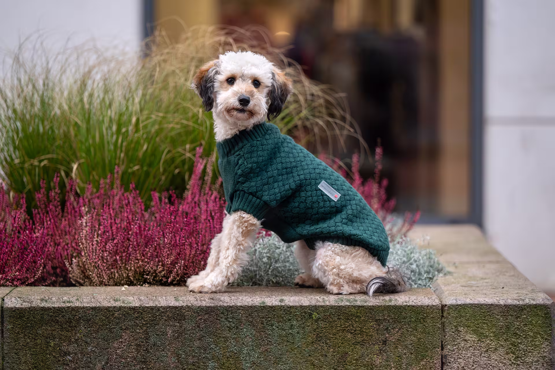 Strickpullover Square