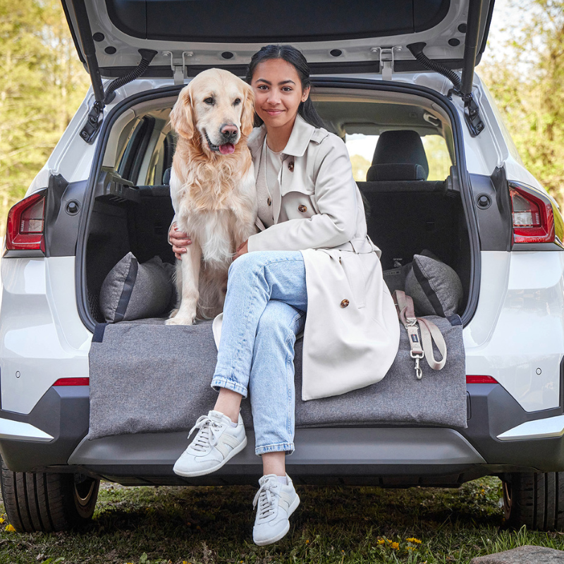 Tierbedarf WOLTERS cat & dog GmbH