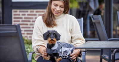 Tierbedarf WOLTERS cat & dog GmbH