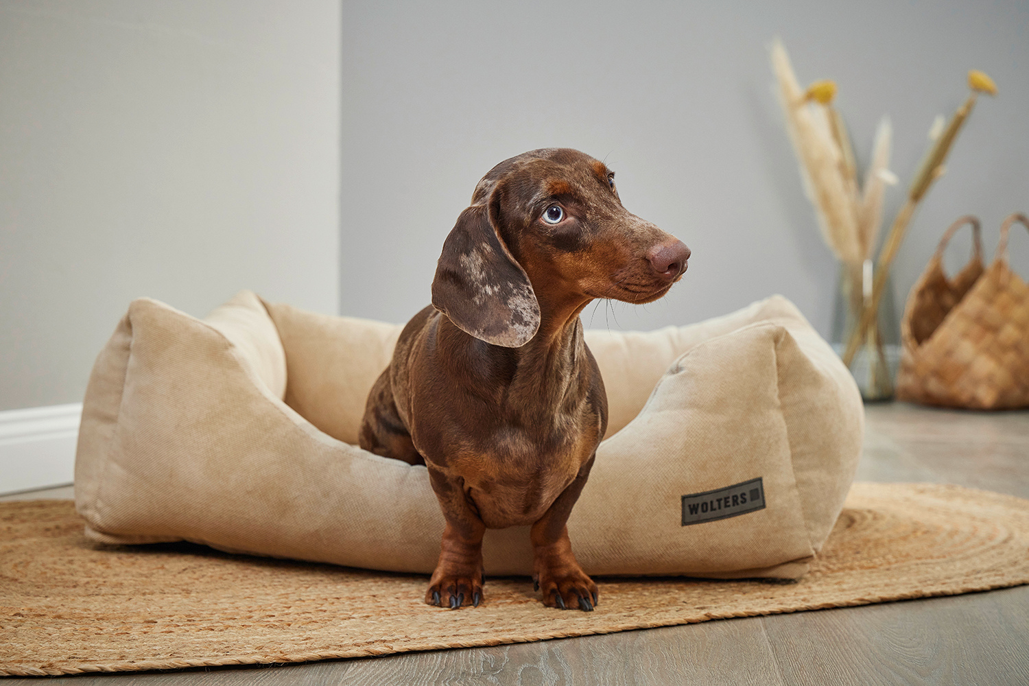 Tierbedarf WOLTERS cat & dog GmbH