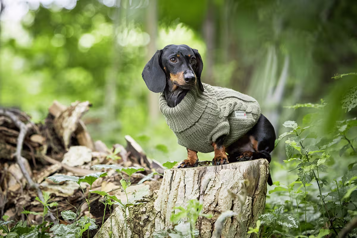 Pull en maille tressé
