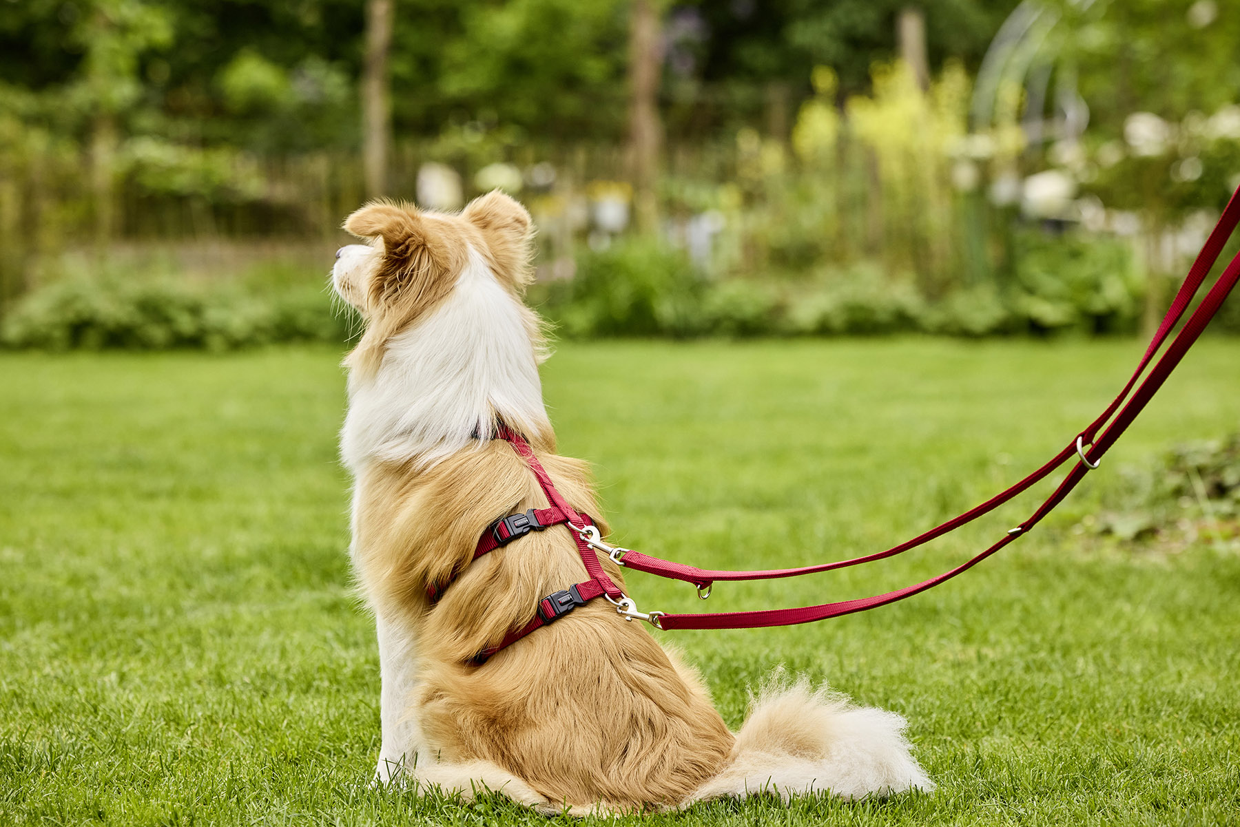 Tierbedarf WOLTERS cat & dog GmbH