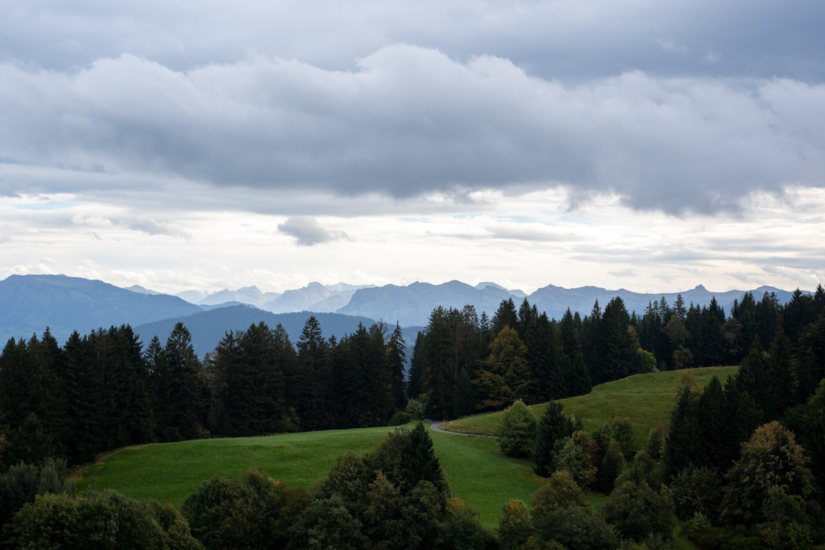 Wandern, Baden, Genießen – Urlaub am Bodensee mit Hund – Bild 6