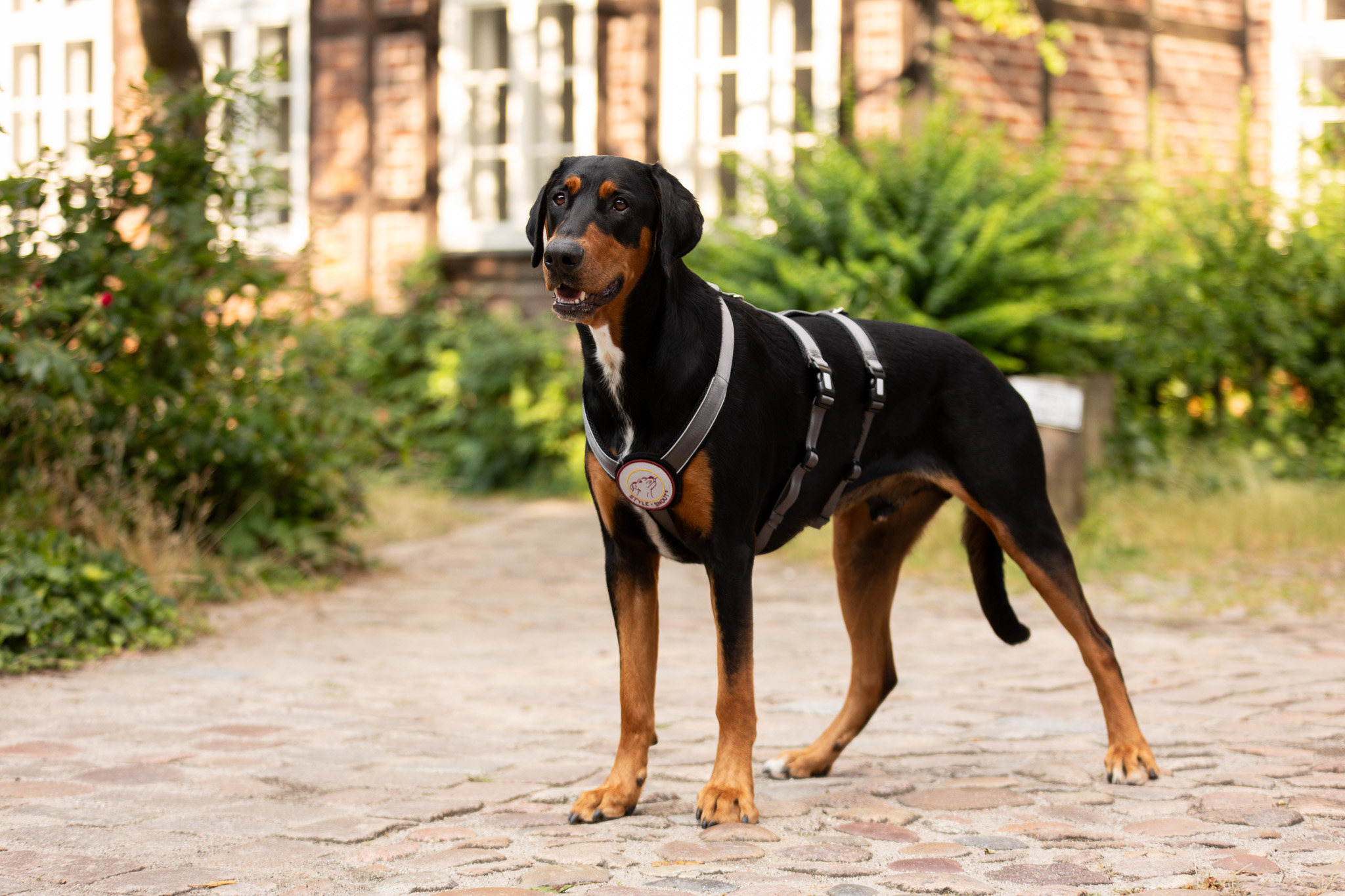 StyleSnout Patch&Safe postroj proti úniku
