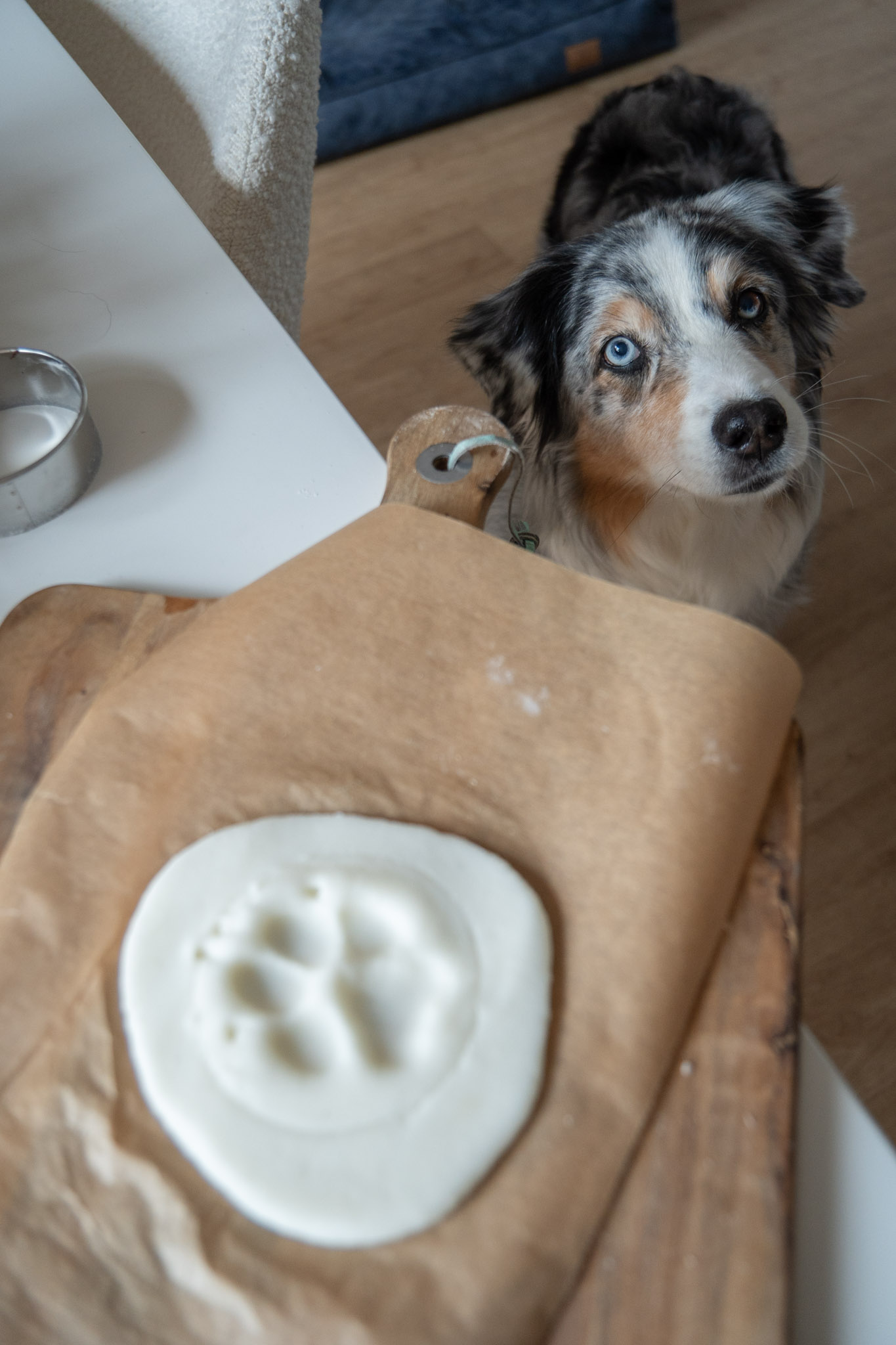 WOL_Magazinbeitrag_DIY_Weihnachten%20(5).jpg?ts=1787246998