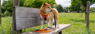 Tierbedarf WOLTERS cat & dog GmbH