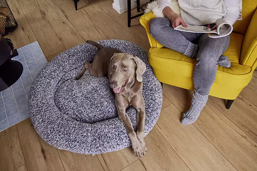Sweet Dreams Ortho Hundekörbchen