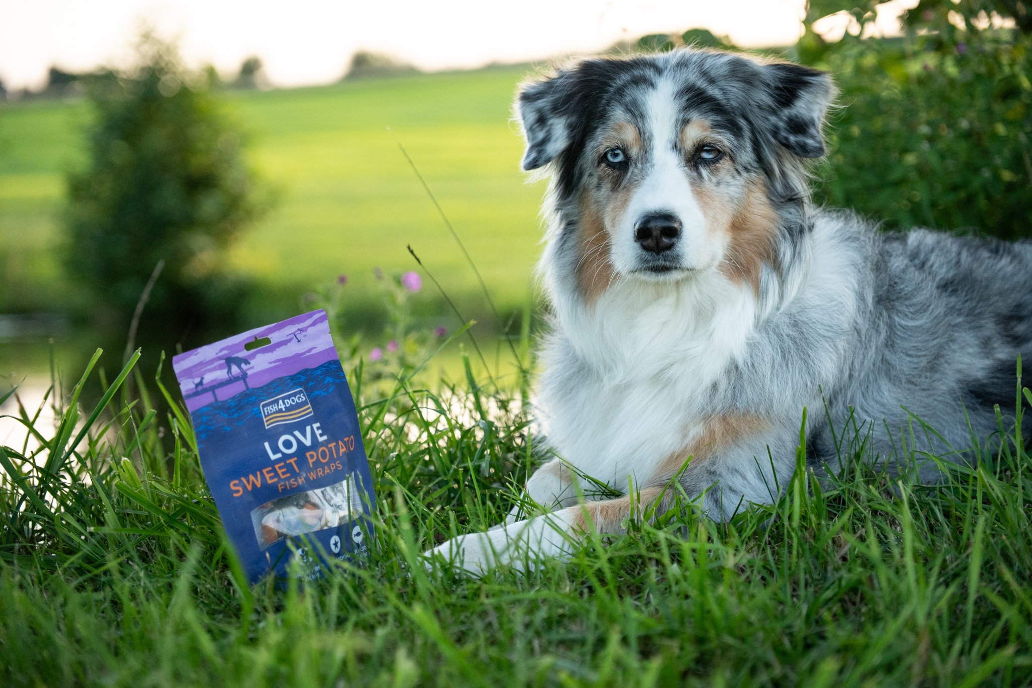 Fish4Dogs Love – Wrapy rybne z batatów