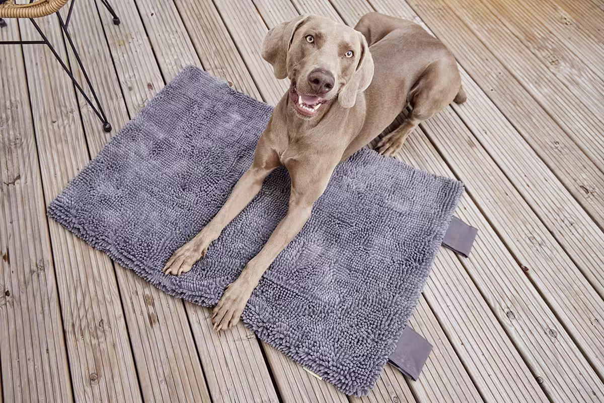  WOLTERS cat & dog GmbH