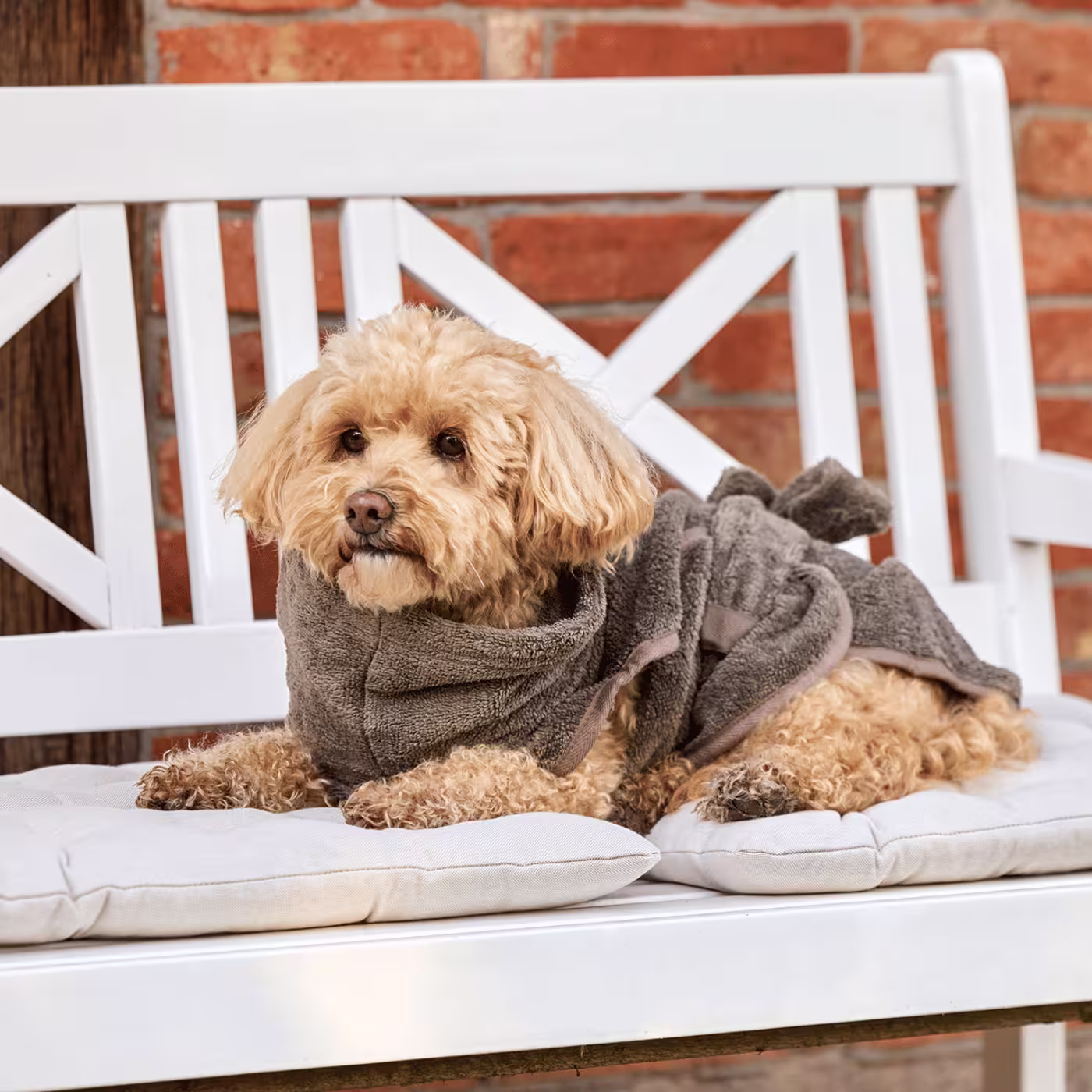 Tierbedarf WOLTERS cat & dog GmbH