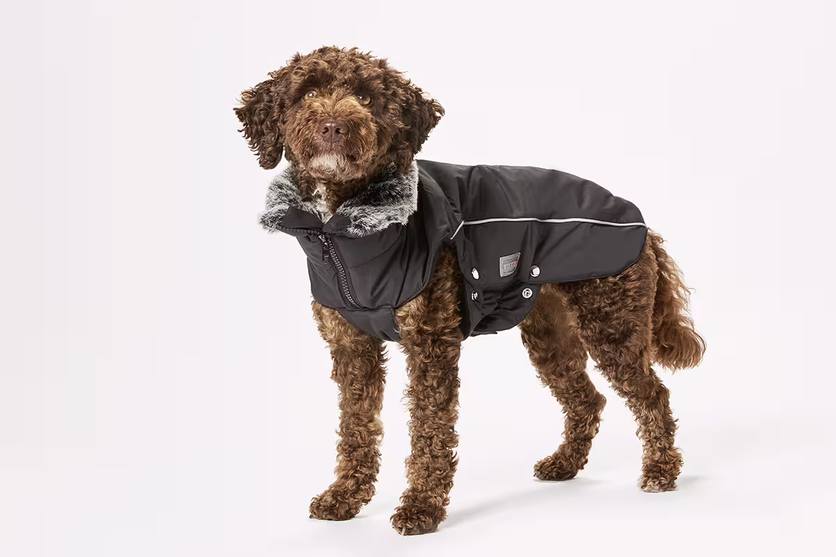 Veste d’hiver Amundsen