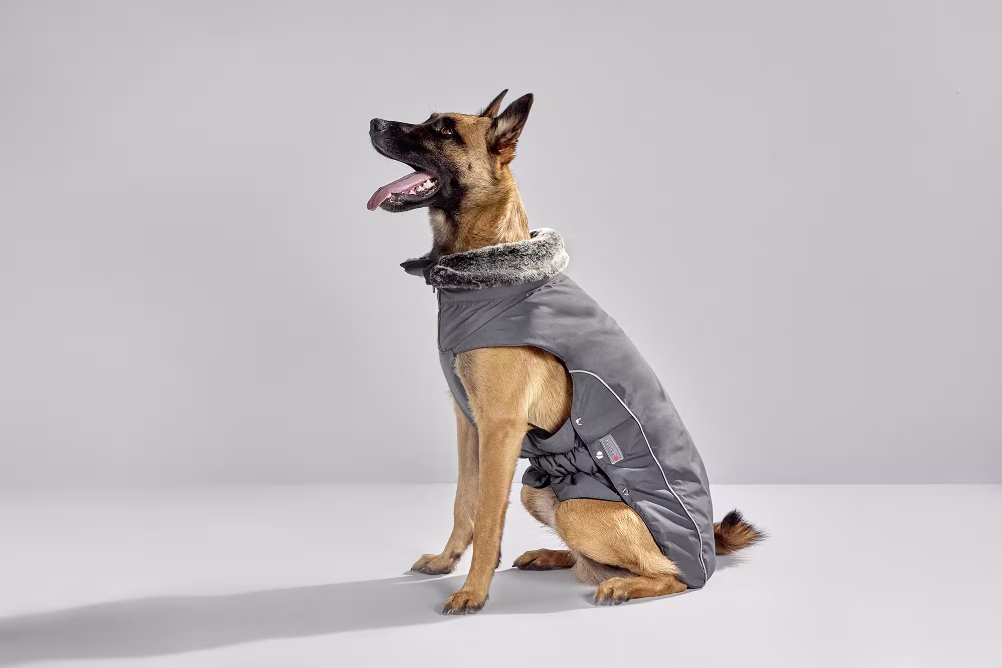  WOLTERS cat & dog GmbH