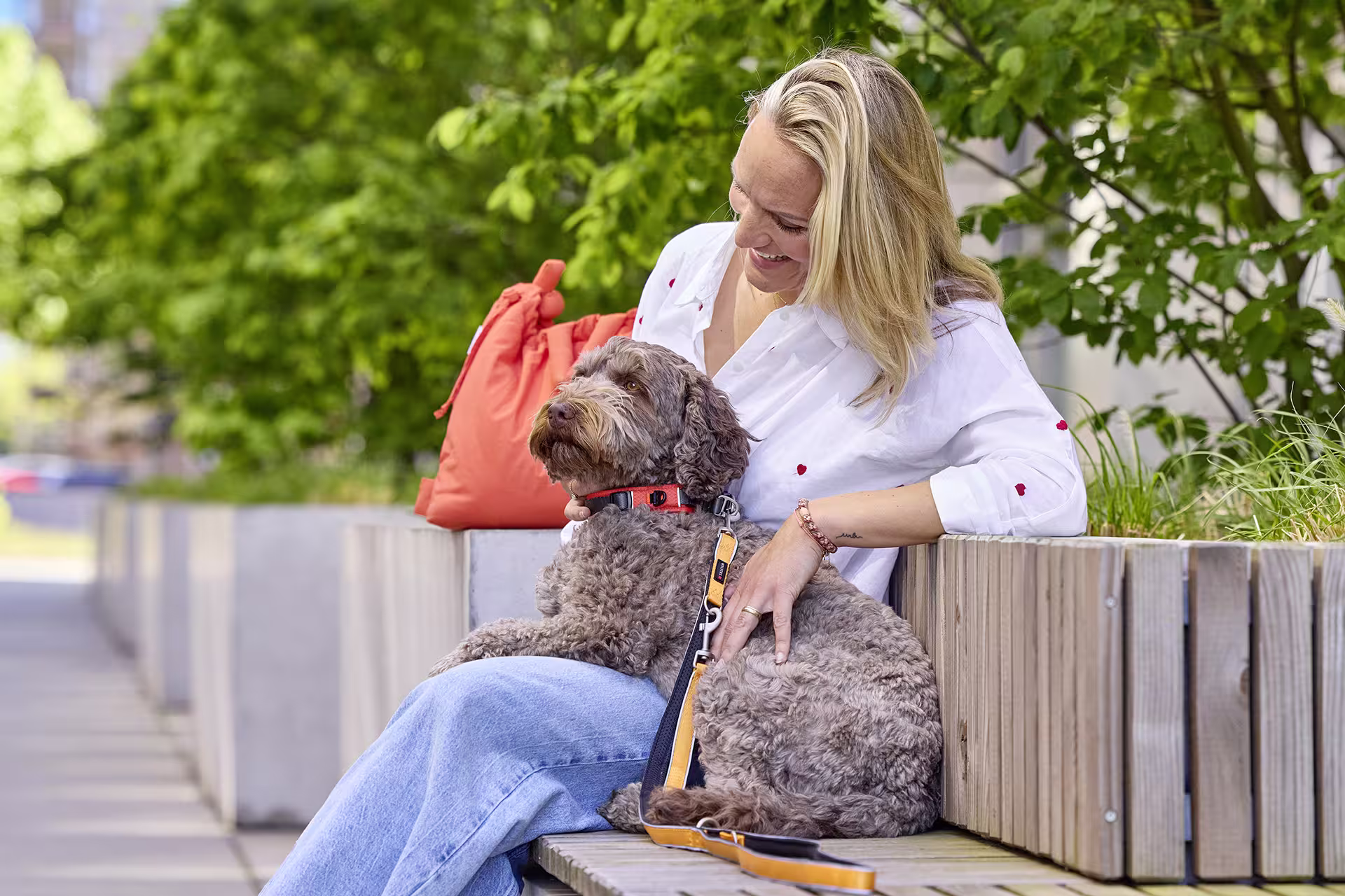 Active Pro Comfort Führleine WOLTERS cat & dog GmbH