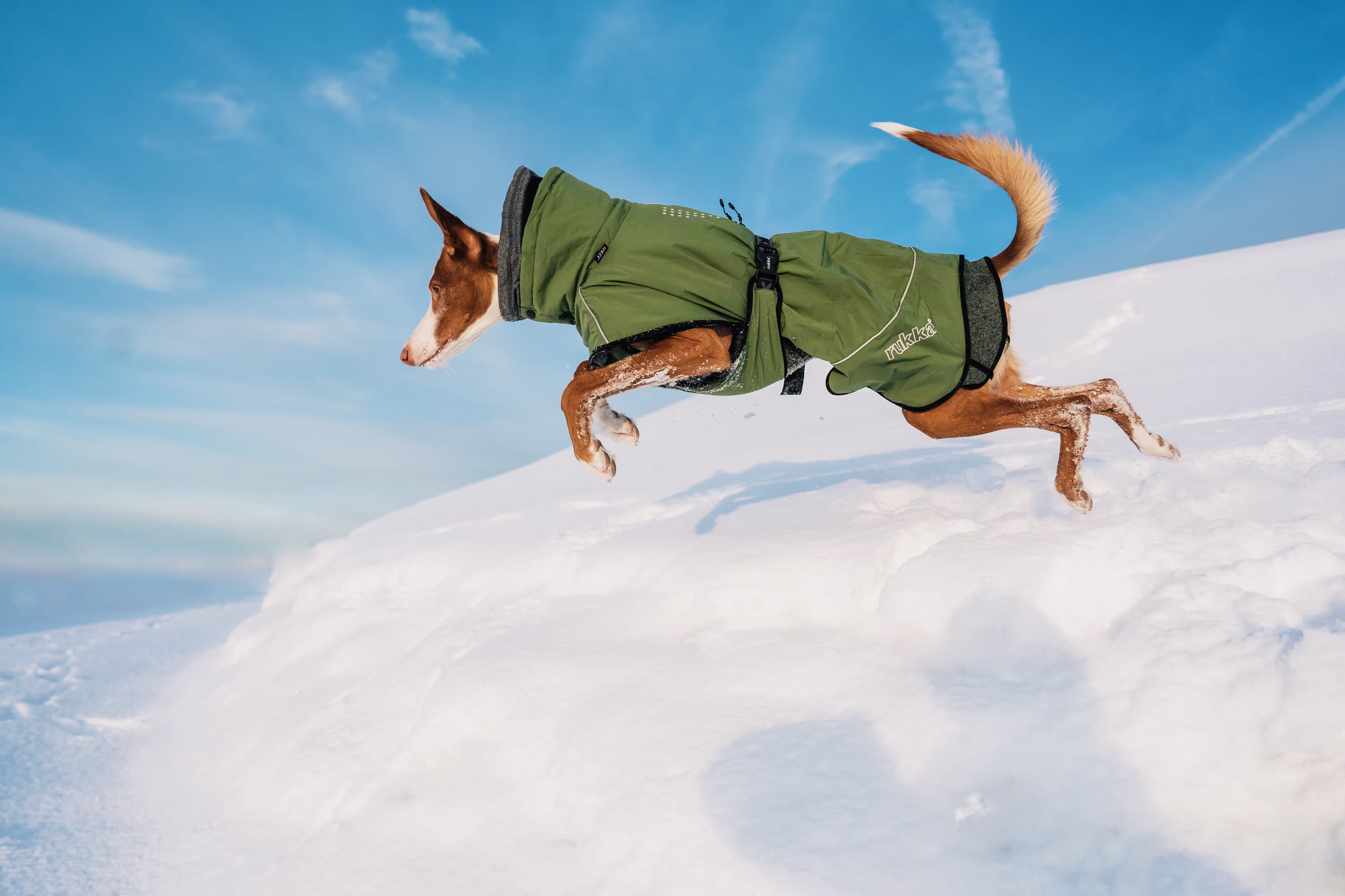 Rukka Pets Winterjacke Warmup 2.0