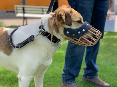 Tierbedarf WOLTERS cat & dog GmbH