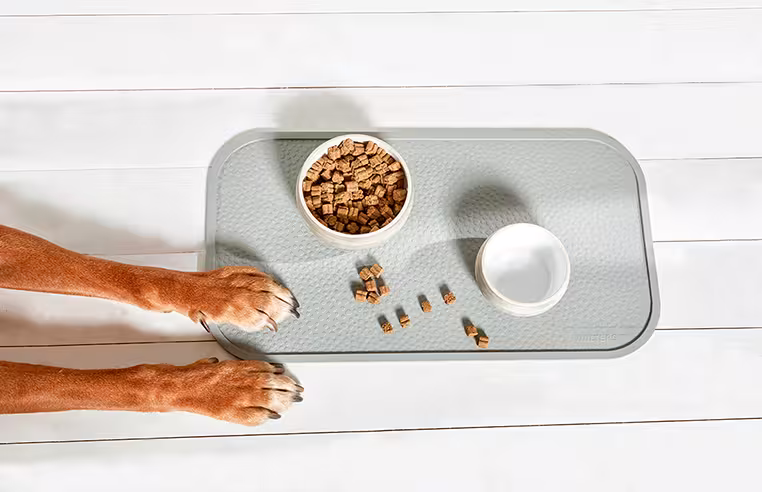  WOLTERS cat & dog GmbH
