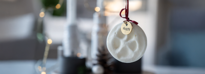 Tierbedarf WOLTERS cat & dog GmbH