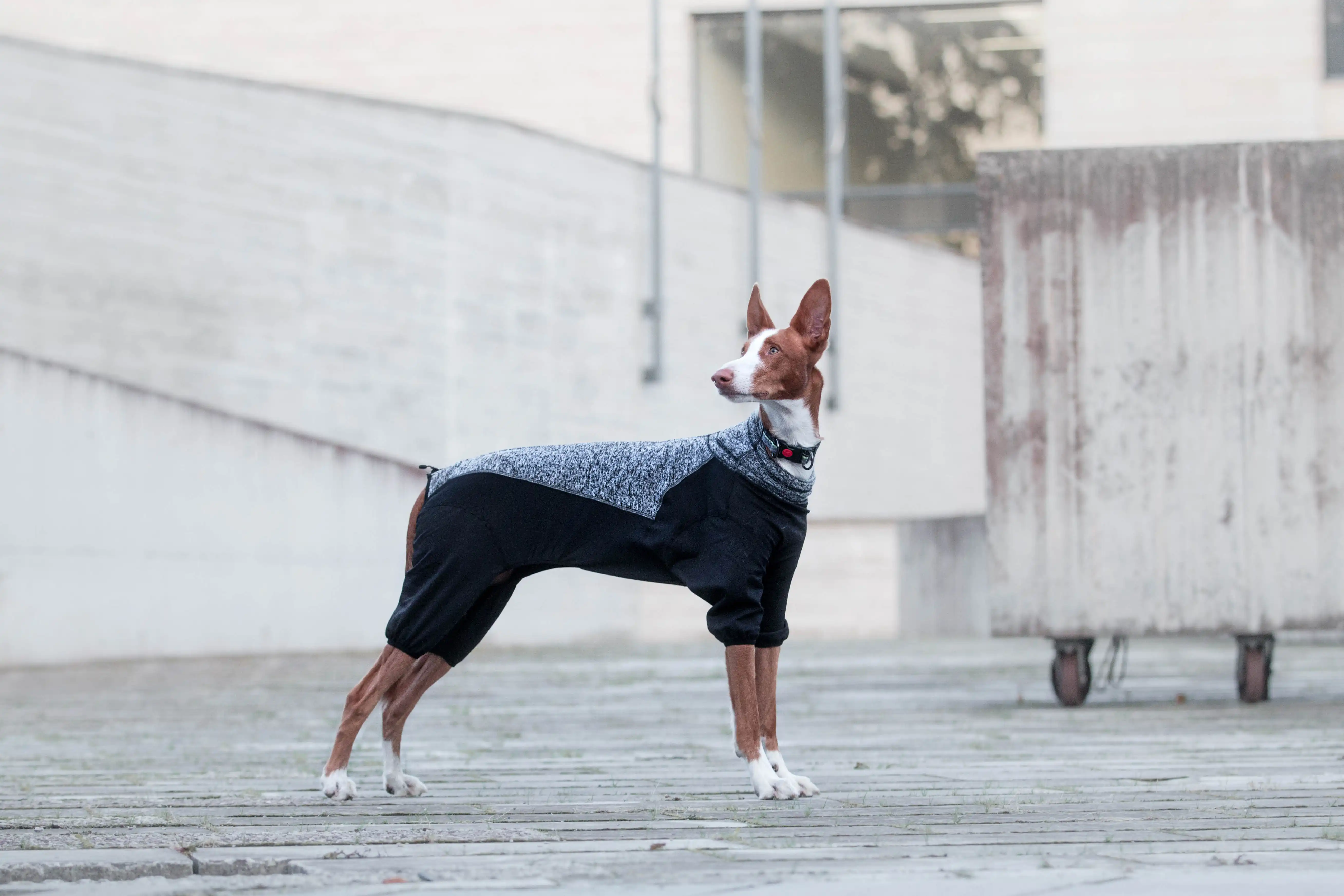 Rukka Pets Fleece-Overall Subrima