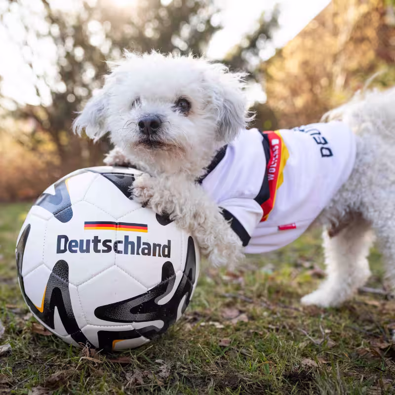 Tierbedarf WOLTERS cat & dog GmbH