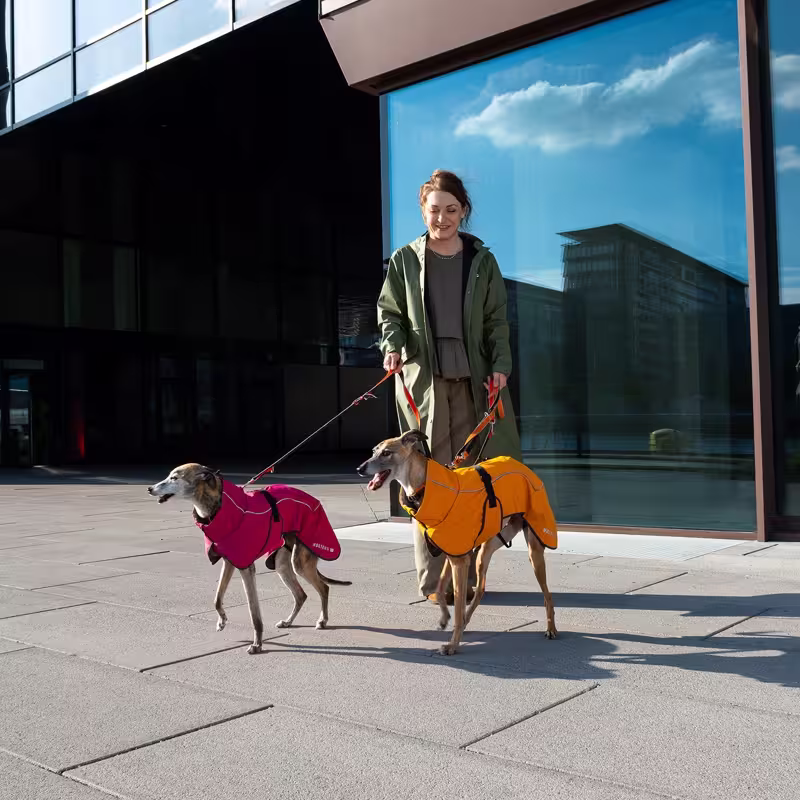 Tierbedarf WOLTERS cat & dog GmbH