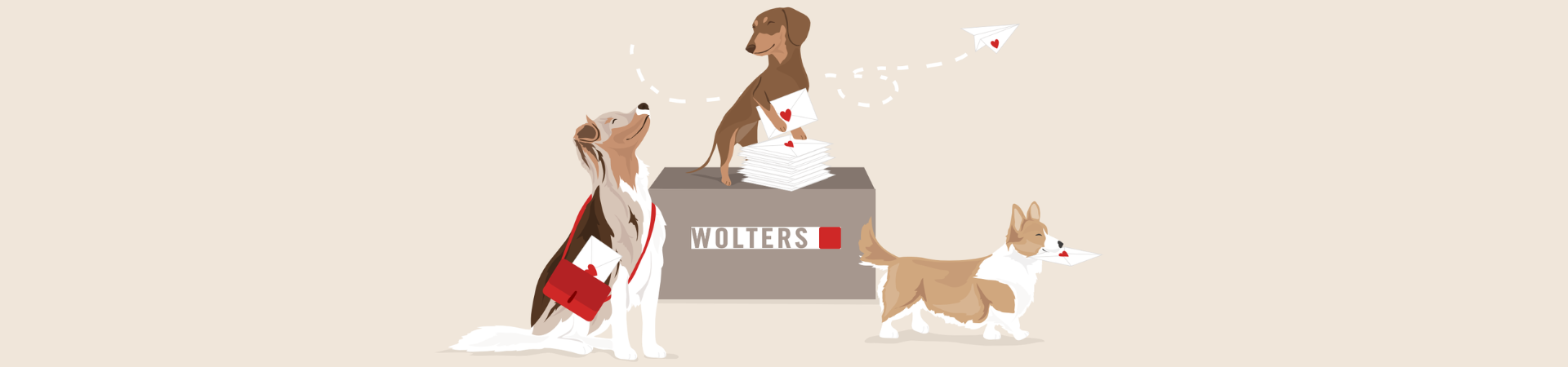 Tierbedarf WOLTERS cat & dog GmbH