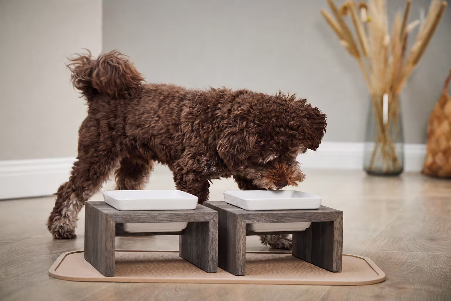  WOLTERS cat & dog GmbH