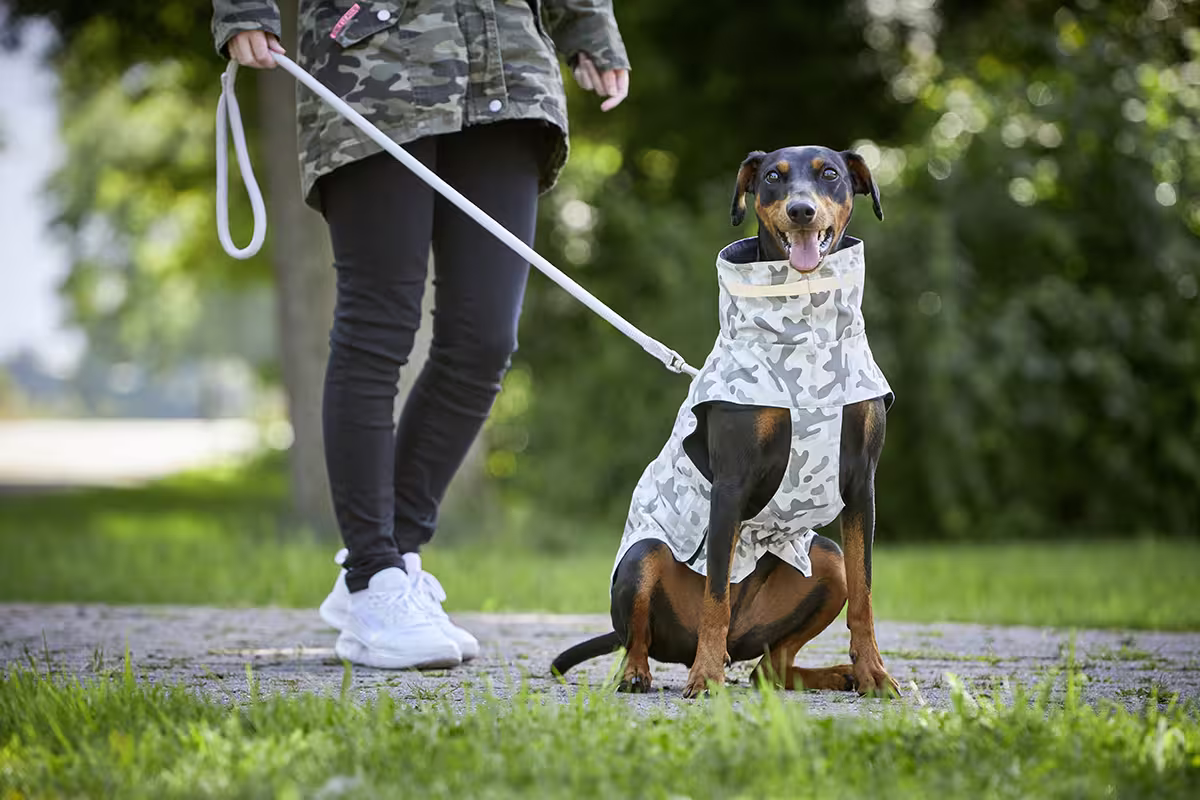 Veste d'extérieur camouflage