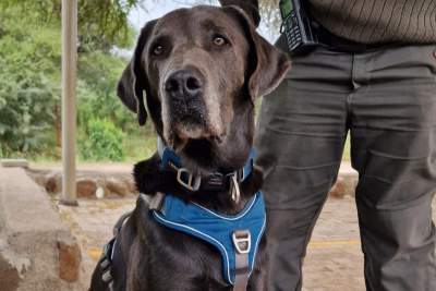 Tierbedarf WOLTERS cat & dog GmbH