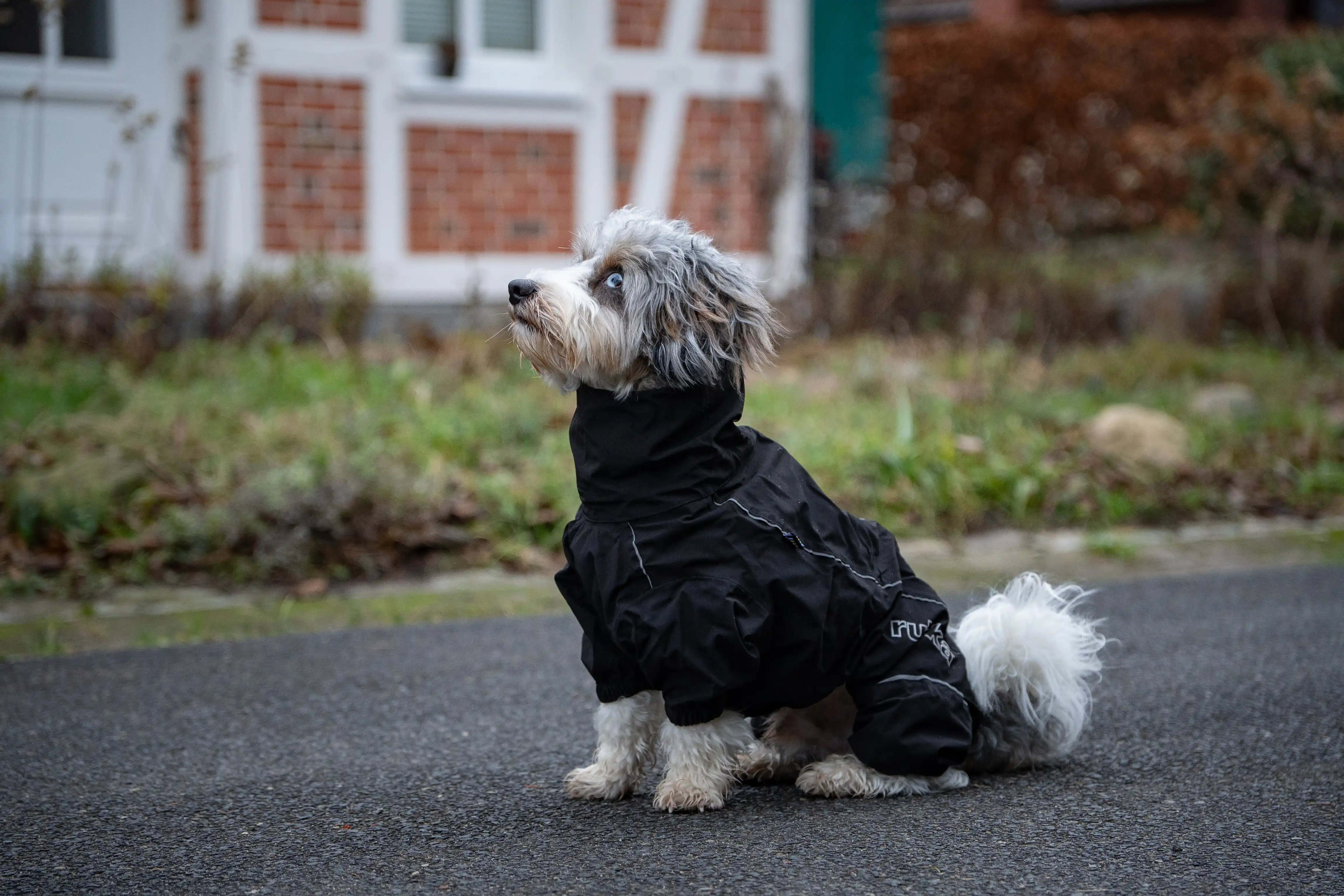 Rukka Pets Overall Protect
