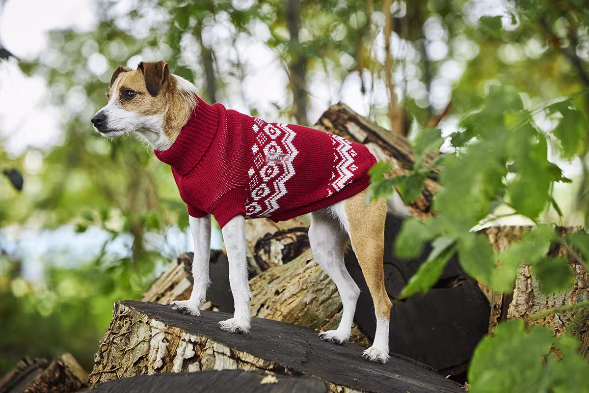 Sweter dzianinowy norweski