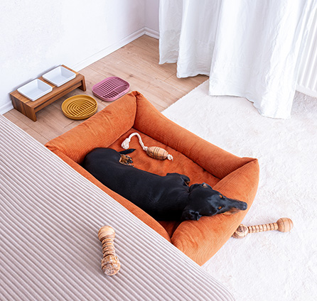 Tierbedarf WOLTERS cat & dog GmbH