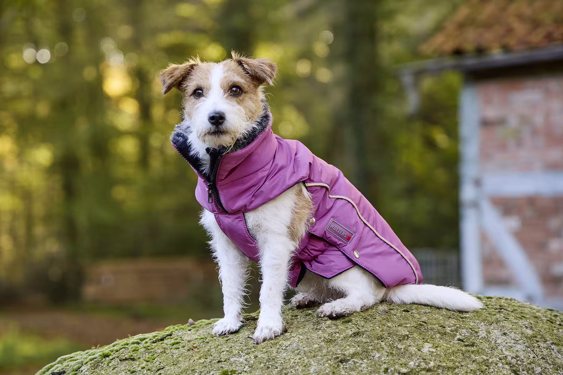  WOLTERS cat & dog GmbH