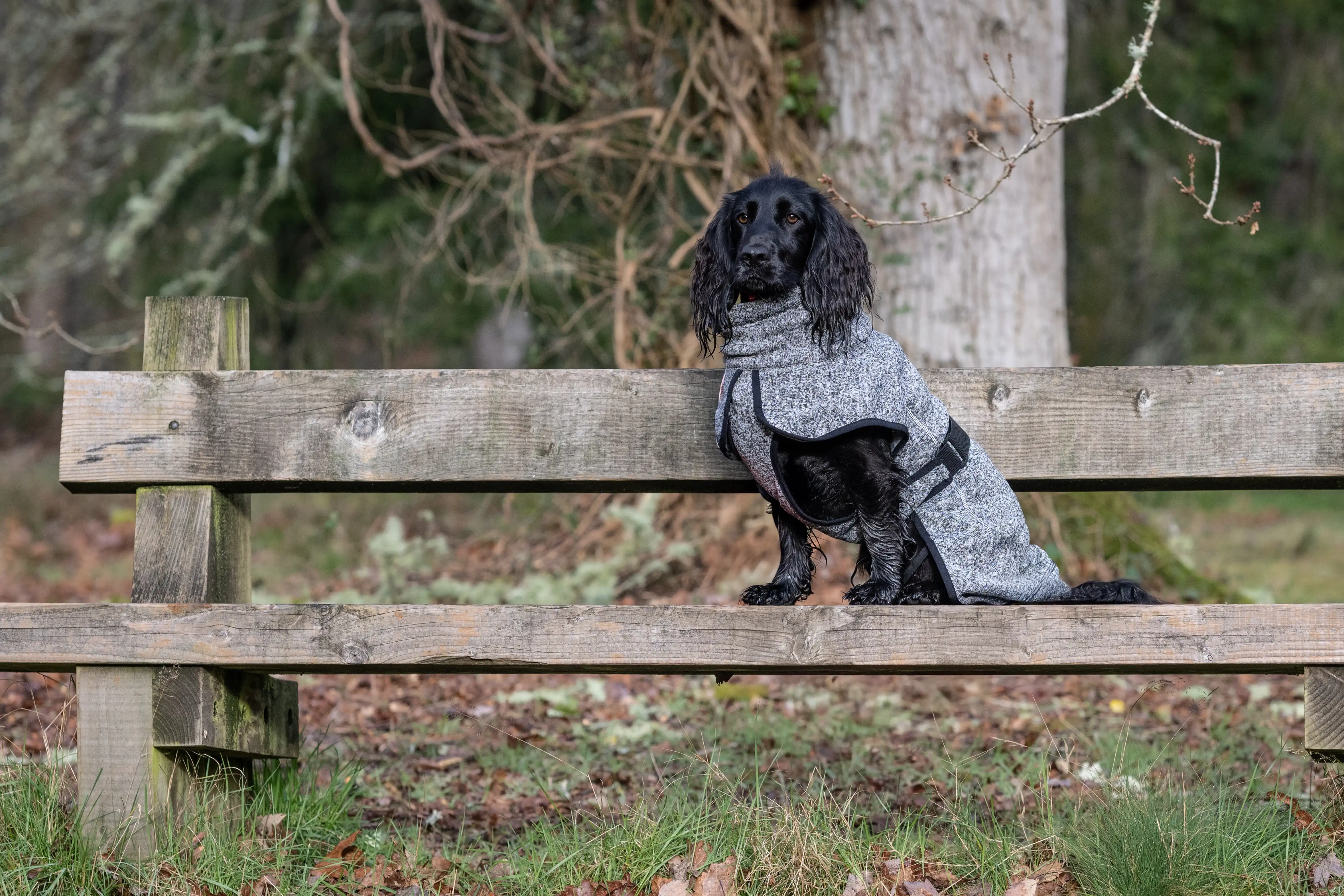 Rukka Pets Fleecejacke Comfy