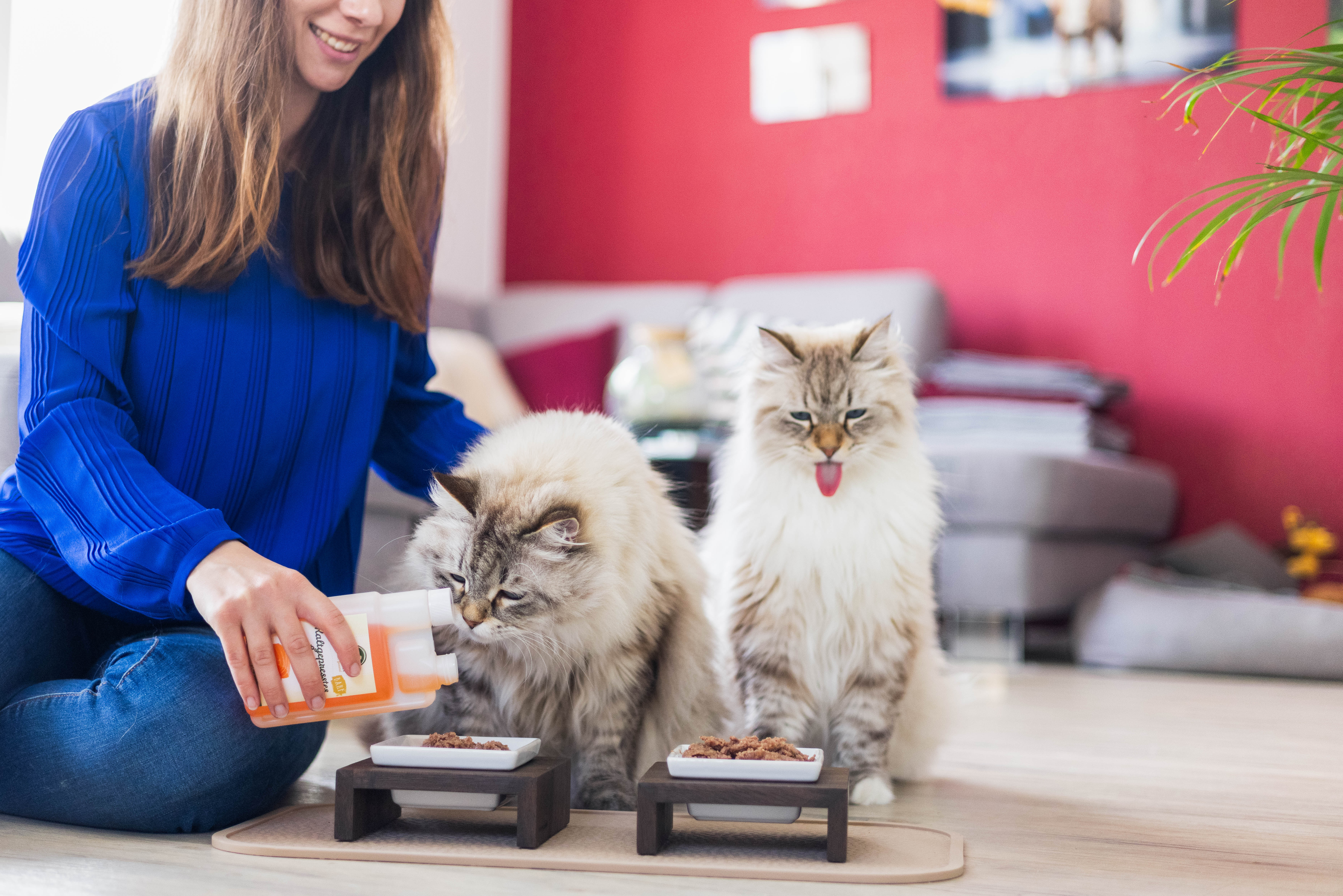 Tierbedarf WOLTERS cat & dog GmbH