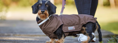 Tierbedarf WOLTERS cat & dog GmbH