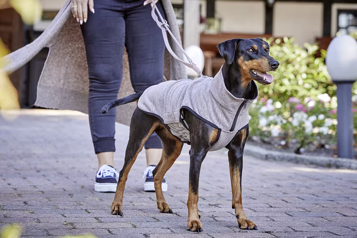 Veste polaire Casual