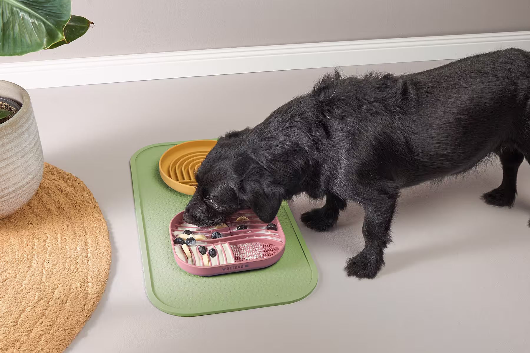 Tierbedarf WOLTERS cat & dog GmbH