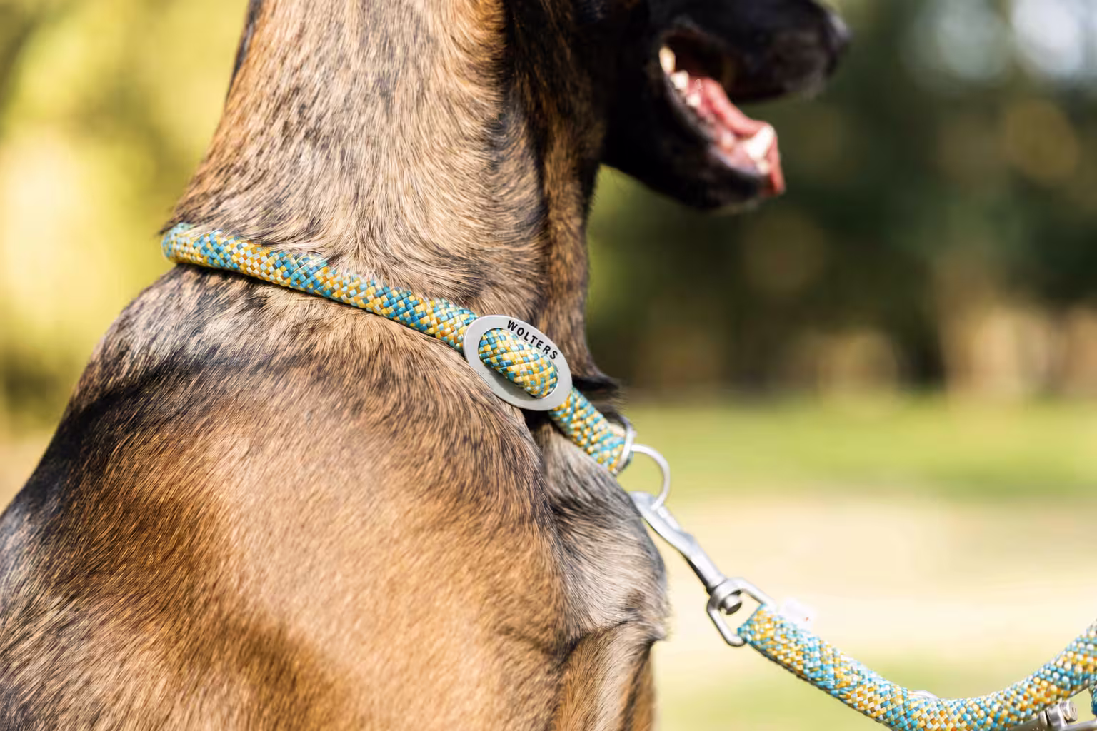 Everest-Tauprogramm Schlupfhalsband WOLTERS cat & dog GmbH