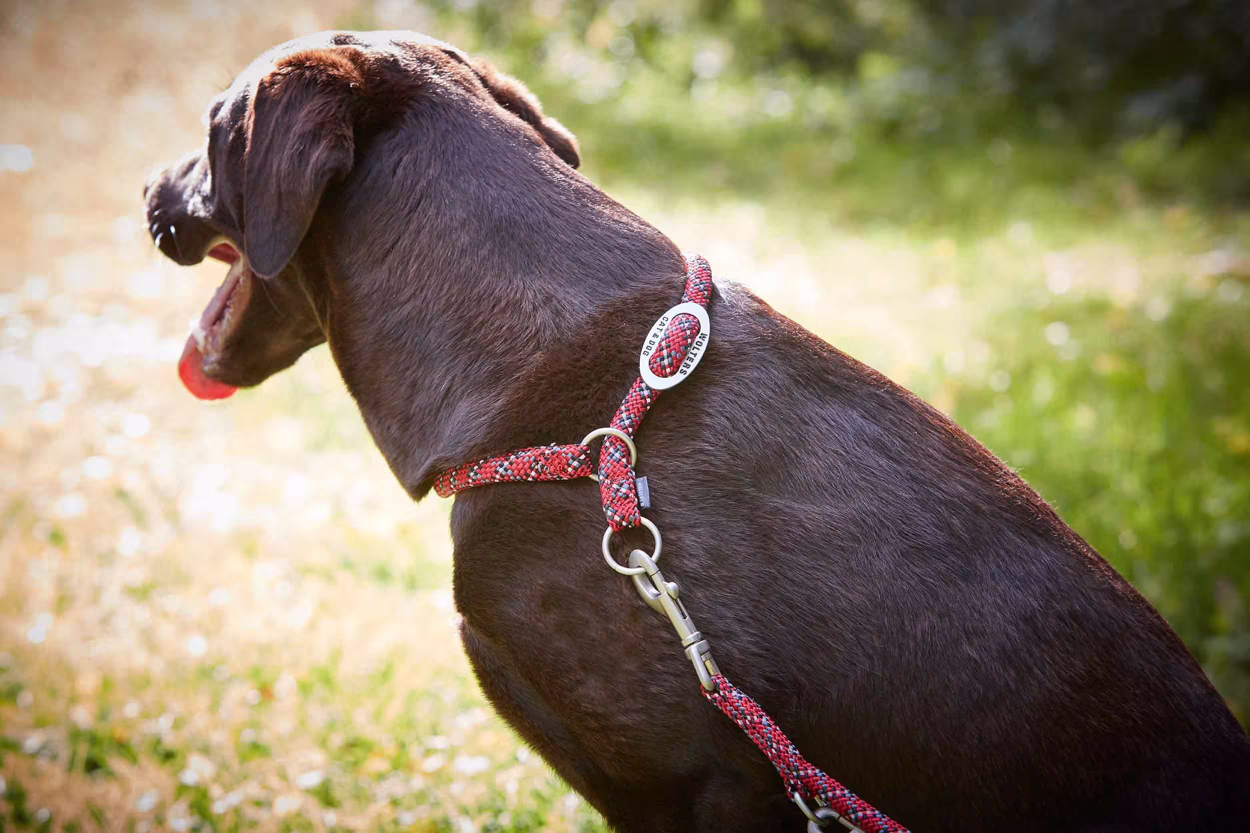 Everest Rope Slip Collar