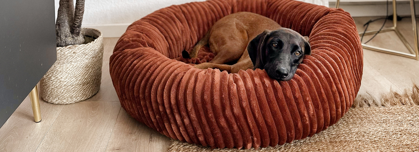 Tierbedarf WOLTERS cat & dog GmbH