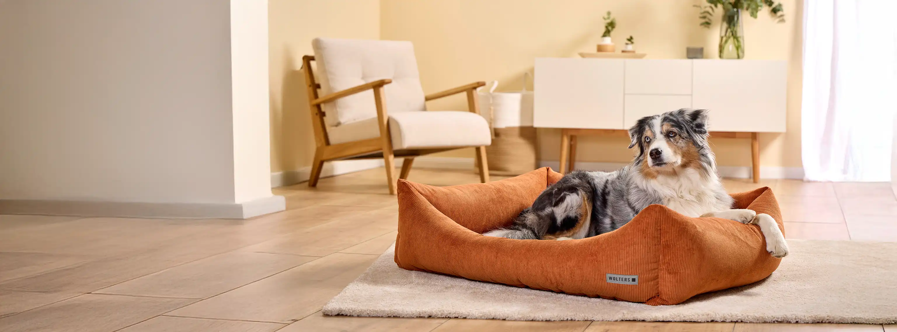 Tierbedarf WOLTERS cat & dog GmbH